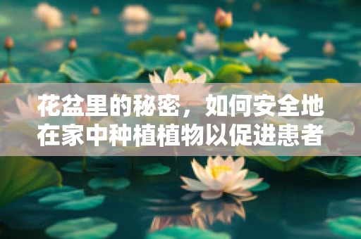 花盆里的秘密，如何安全地在家中种植植物以促进患者康复？