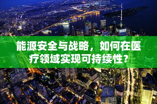 能源安全与战略，如何在医疗领域实现可持续性？