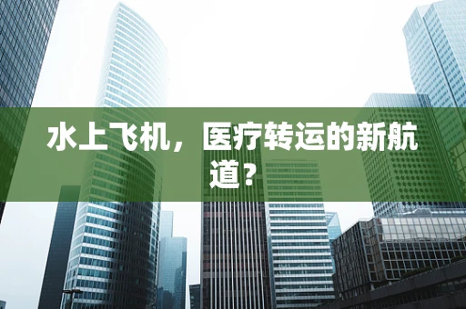 水上飞机，医疗转运的新航道？