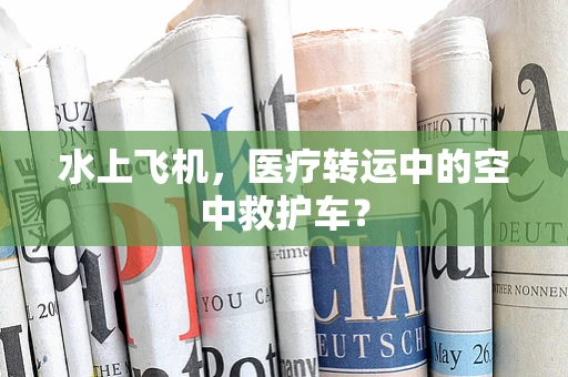 水上飞机，医疗转运中的空中救护车？