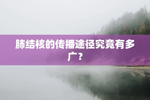 肺结核的传播途径究竟有多广？