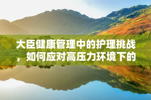 大臣健康管理中的护理挑战，如何应对高压力环境下的心理调适？