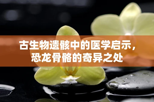 古生物遗骸中的医学启示，恐龙骨骼的奇异之处