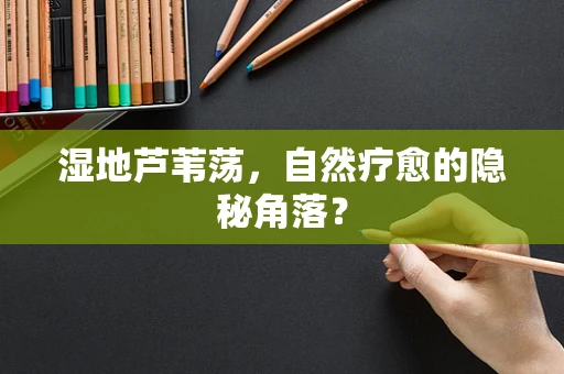 湿地芦苇荡，自然疗愈的隐秘角落？