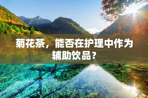 菊花茶，能否在护理中作为辅助饮品？