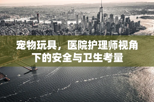 宠物玩具，医院护理师视角下的安全与卫生考量