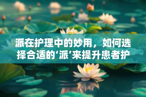 派在护理中的妙用，如何选择合适的‘派’来提升患者护理体验？