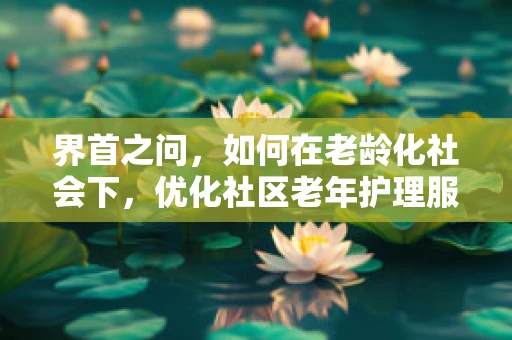 界首之问，如何在老龄化社会下，优化社区老年护理服务？