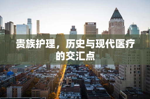 贵族护理，历史与现代医疗的交汇点