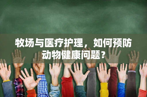 牧场与医疗护理，如何预防动物健康问题？