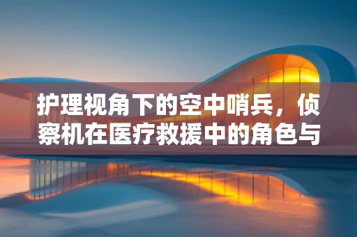 护理视角下的空中哨兵，侦察机在医疗救援中的角色与挑战