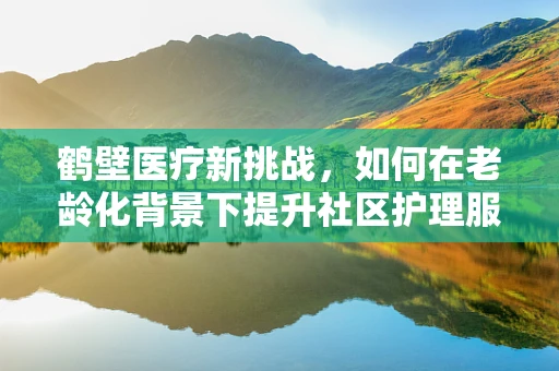 鹤壁医疗新挑战，如何在老龄化背景下提升社区护理服务？