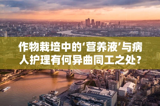 作物栽培中的‘营养液’与病人护理有何异曲同工之处？