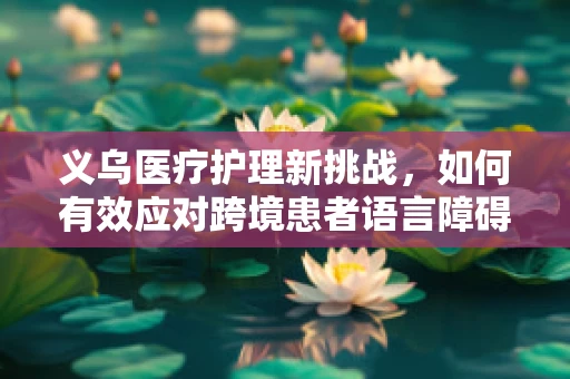 义乌医疗护理新挑战，如何有效应对跨境患者语言障碍？