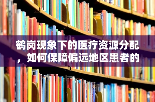 鹤岗现象下的医疗资源分配，如何保障偏远地区患者的护理质量？