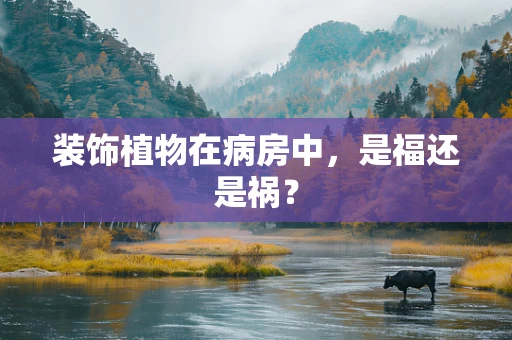 装饰植物在病房中，是福还是祸？