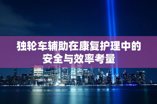 独轮车辅助在康复护理中的安全与效率考量