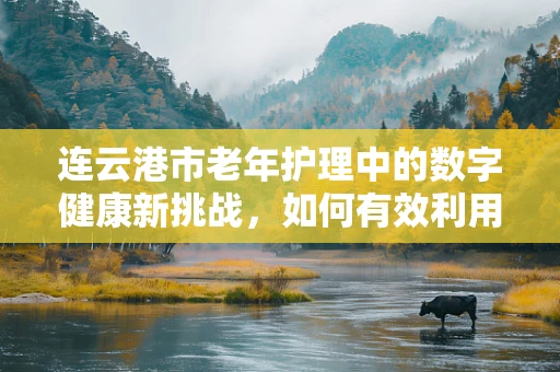 连云港市老年护理中的数字健康新挑战，如何有效利用大数据提升护理效率？