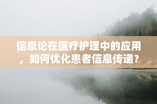信息论在医疗护理中的应用，如何优化患者信息传递？