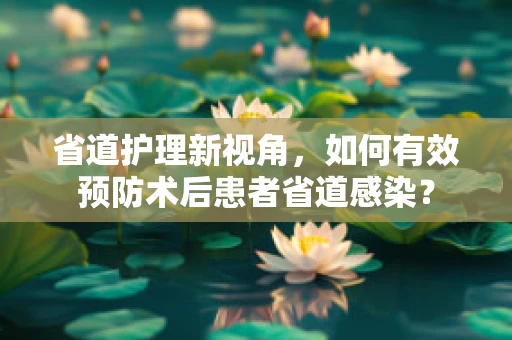 省道护理新视角，如何有效预防术后患者省道感染？