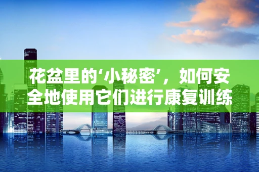 花盆里的‘小秘密’，如何安全地使用它们进行康复训练？