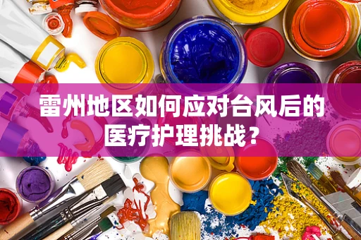 雷州地区如何应对台风后的医疗护理挑战？