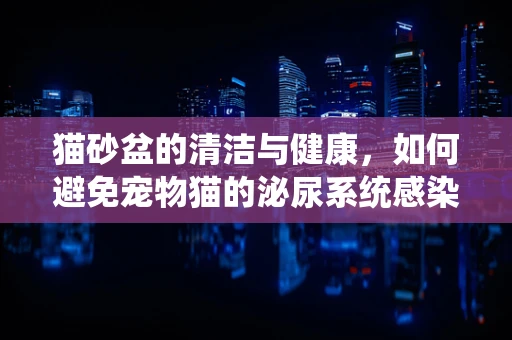 猫砂盆的清洁与健康，如何避免宠物猫的泌尿系统感染？