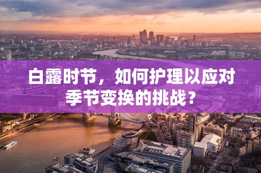白露时节，如何护理以应对季节变换的挑战？