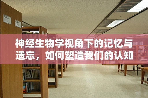 神经生物学视角下的记忆与遗忘，如何塑造我们的认知世界？