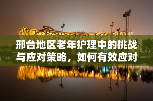 邢台地区老年护理中的挑战与应对策略，如何有效应对高龄化社会的护理需求？