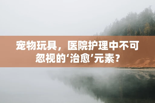 宠物玩具，医院护理中不可忽视的‘治愈’元素？