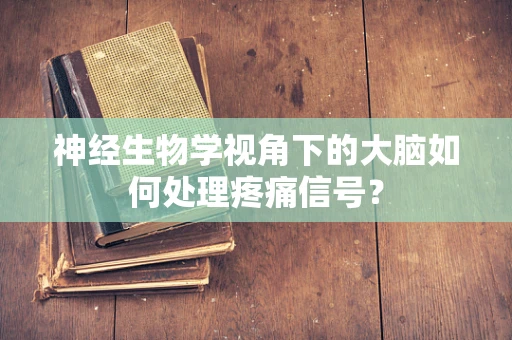 神经生物学视角下的大脑如何处理疼痛信号？