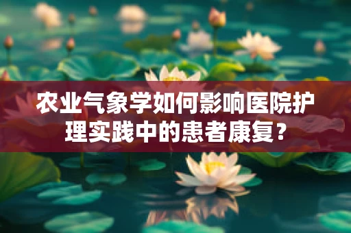 农业气象学如何影响医院护理实践中的患者康复？