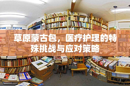 草原蒙古包，医疗护理的特殊挑战与应对策略