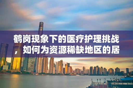鹤岗现象下的医疗护理挑战，如何为资源稀缺地区的居民提供高质量护理服务？