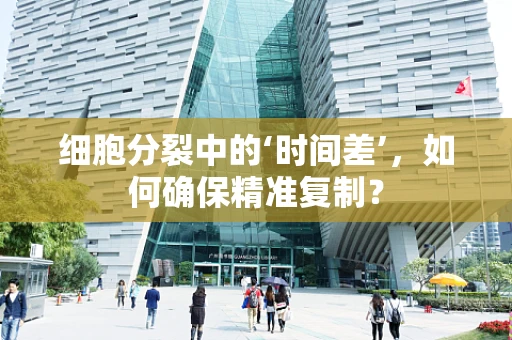 细胞分裂中的‘时间差’，如何确保精准复制？