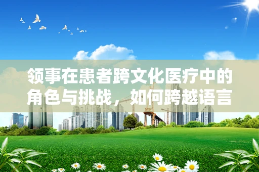 领事在患者跨文化医疗中的角色与挑战，如何跨越语言与文化的鸿沟？