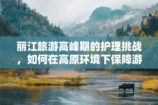 丽江旅游高峰期的护理挑战，如何在高原环境下保障游客健康？