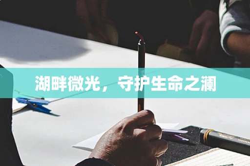 湖畔微光，守护生命之澜