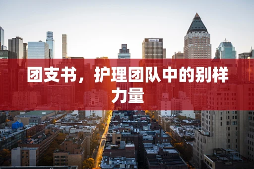 团支书，护理团队中的别样力量