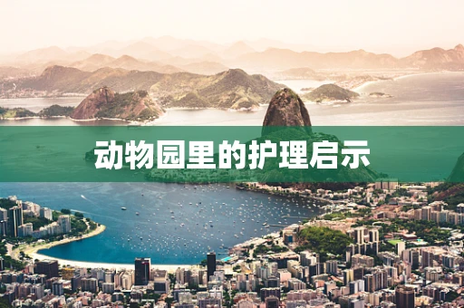 动物园里的护理启示