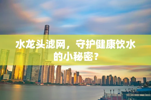 水龙头滤网，守护健康饮水的小秘密？
