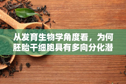 从发育生物学角度看，为何胚胎干细胞具有多向分化潜能？