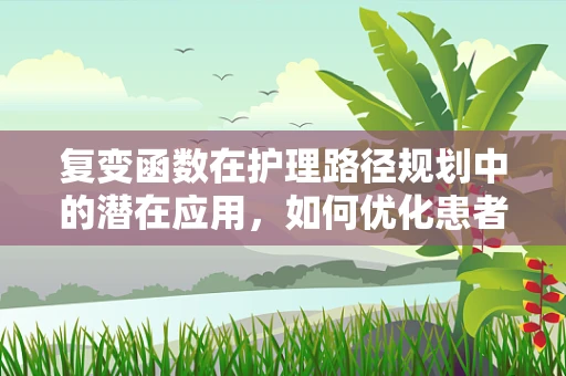 复变函数在护理路径规划中的潜在应用，如何优化患者转运流程？