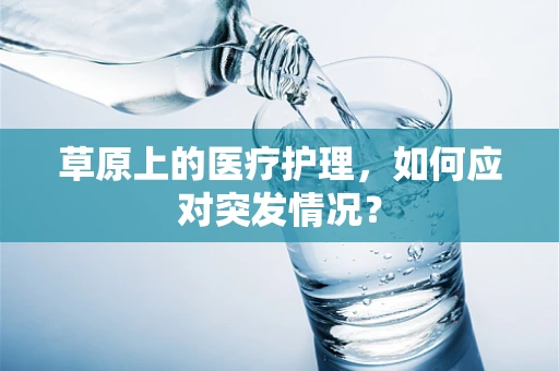草原上的医疗护理，如何应对突发情况？