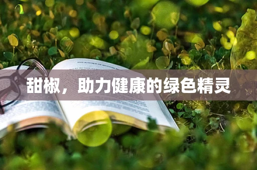 甜椒，助力健康的绿色精灵
