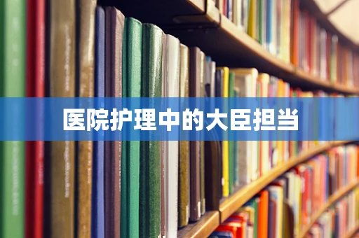 医院护理中的大臣担当
