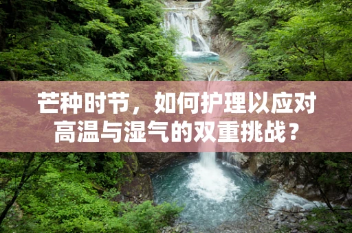 芒种时节，如何护理以应对高温与湿气的双重挑战？