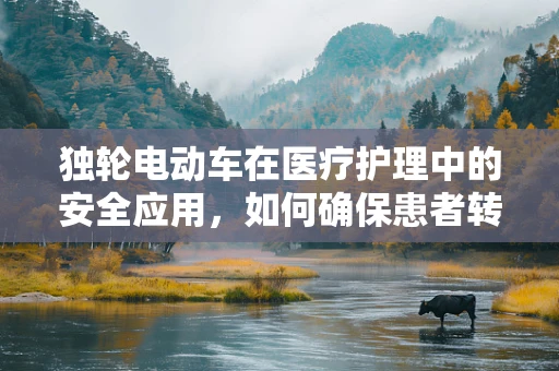 独轮电动车在医疗护理中的安全应用，如何确保患者转移的平稳与高效？