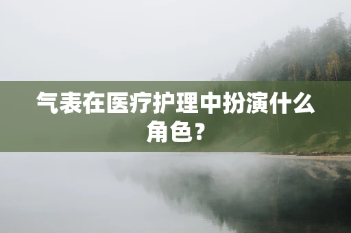 气表在医疗护理中扮演什么角色？